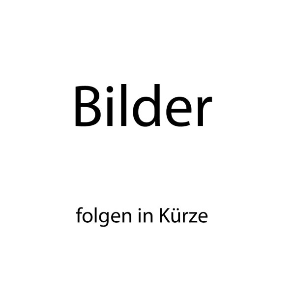 VioVox RFK0233 Rückfahrkamera, universal